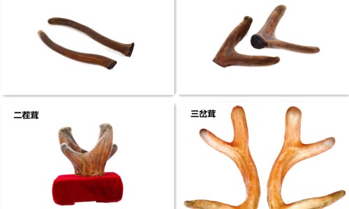 大三阳会治愈吗-大三阳好不好医-专业大三阳还有救吗平台-大三阳能治好吗会传染吗