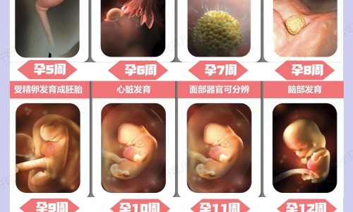 有大三阳-大三阳好不好医-专业大三阳还有救吗平台-大三阳能治好吗会传染吗