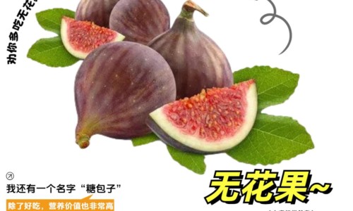 大三阳好不好医-专业大三阳还有救吗平台-大三阳能治好吗会传染吗